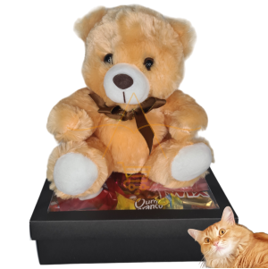 Cesta De Chocolate Pelucia Na Caixa Presente Namorados